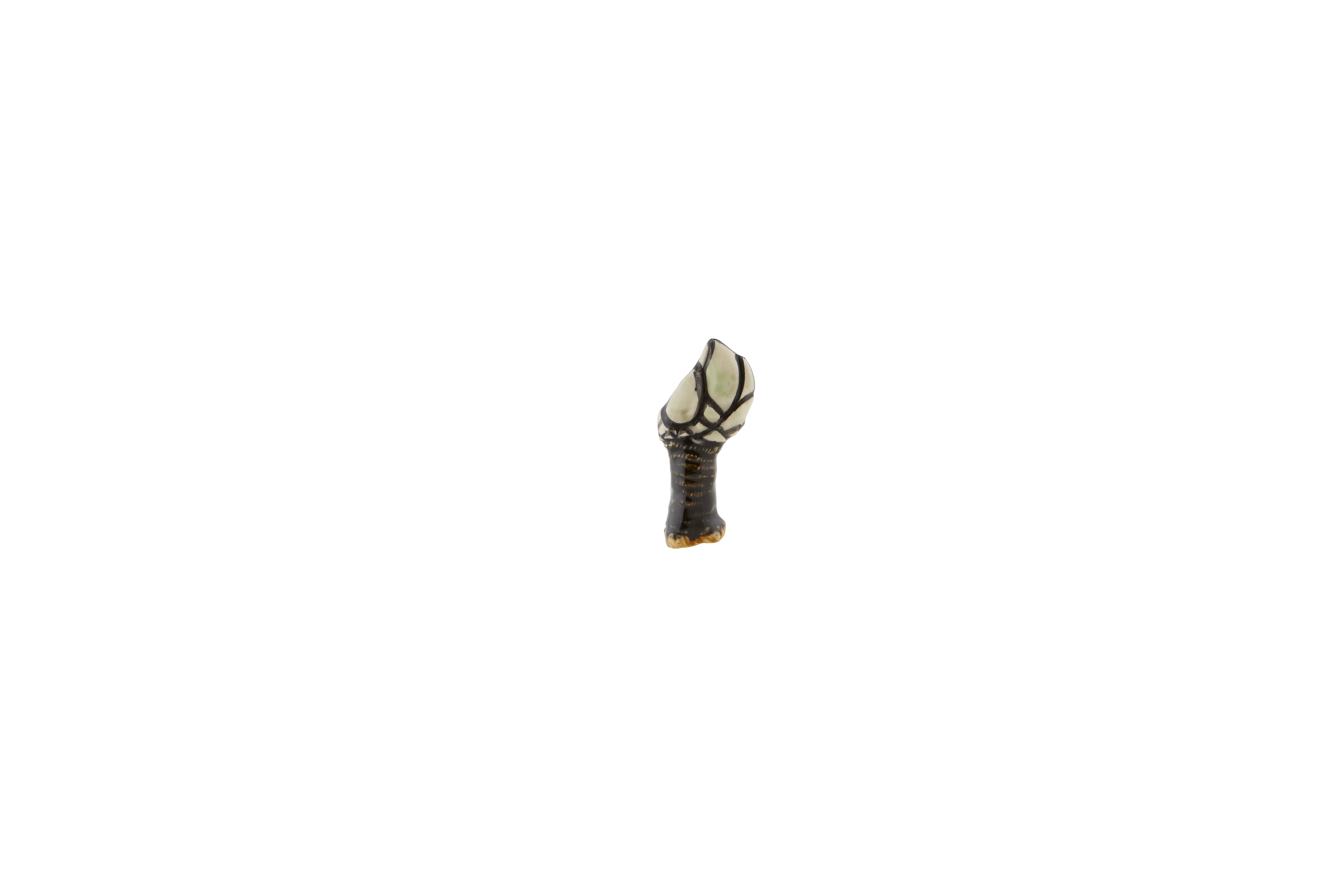 Percebes, , large