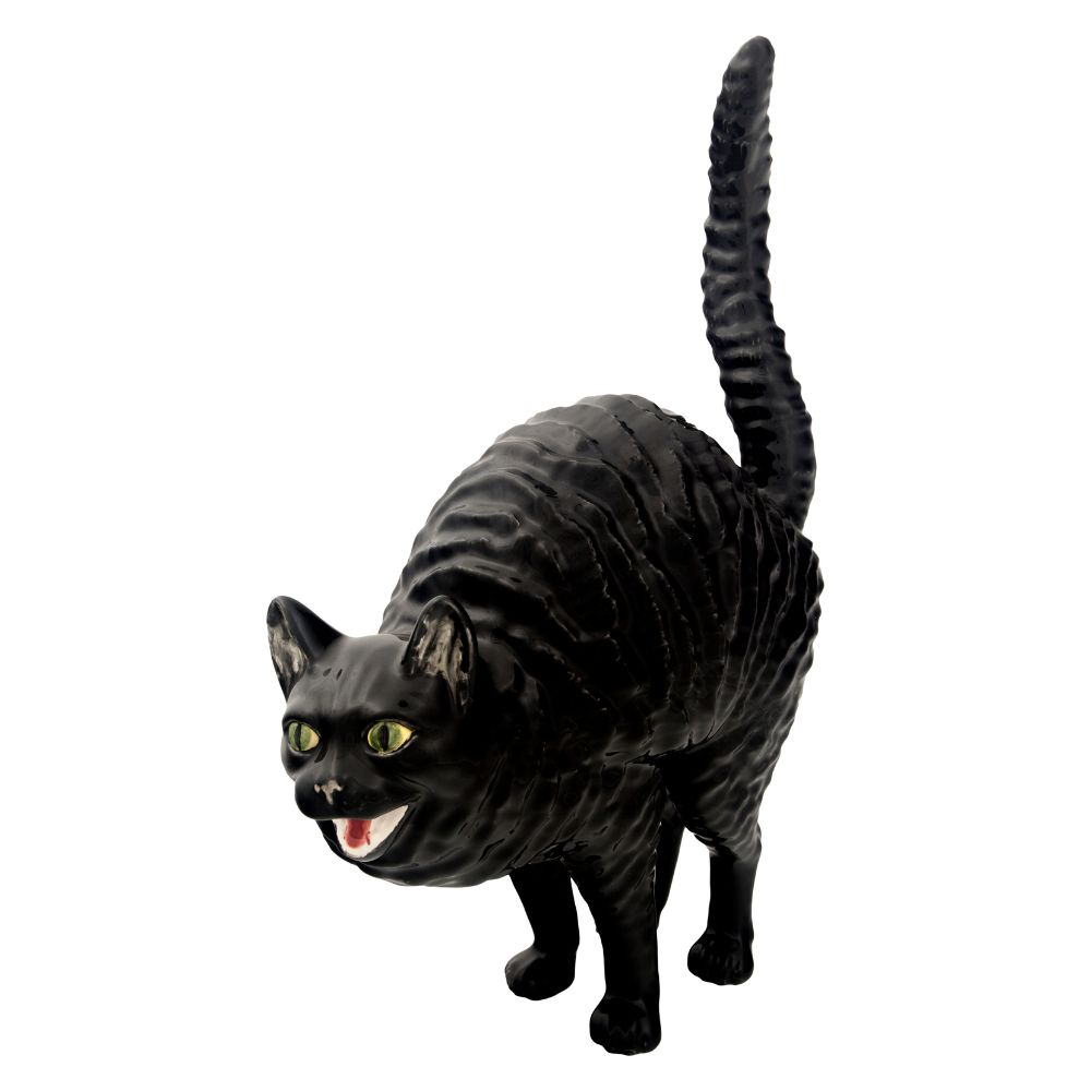 Gato Assanhado, , large image number null