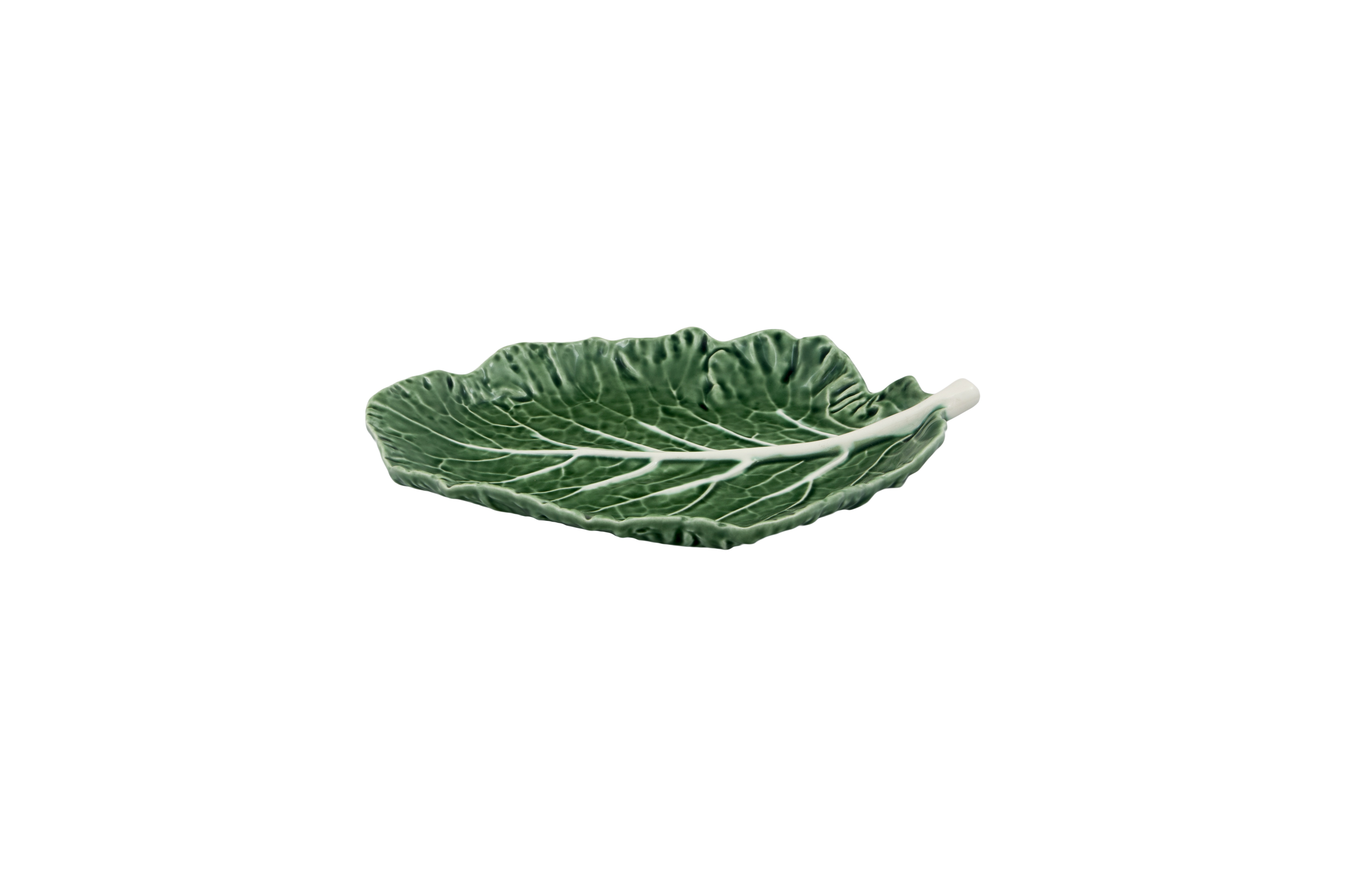 Large Leaf