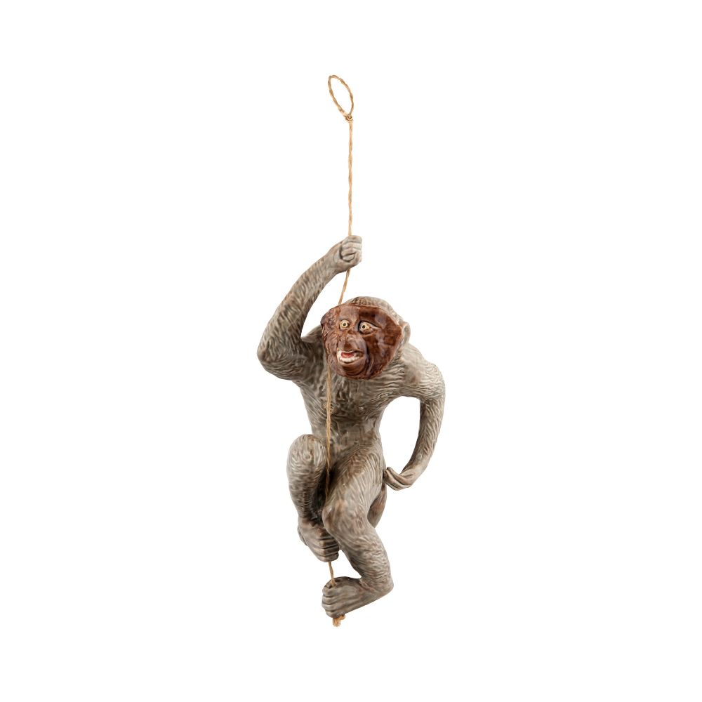 Macaco, , large image number null