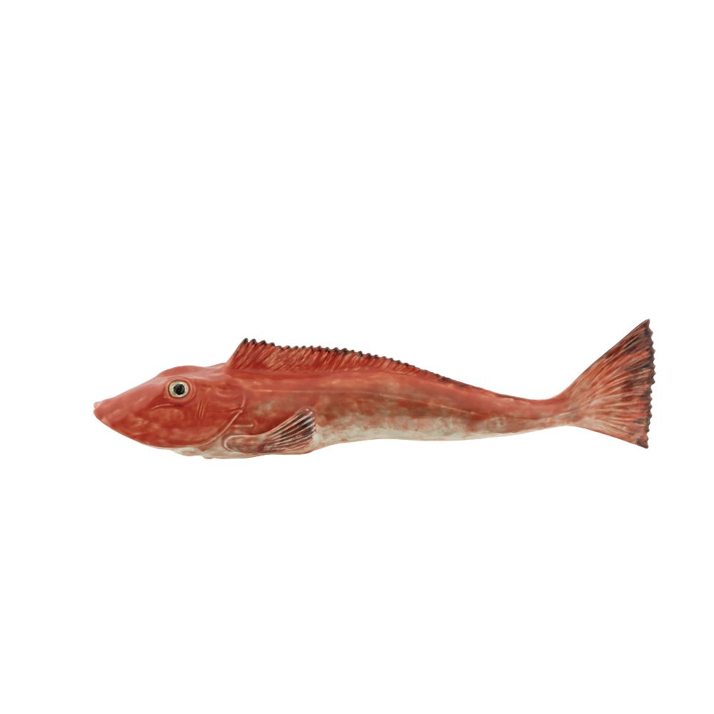 Large Tub Gurnard, , large image number null