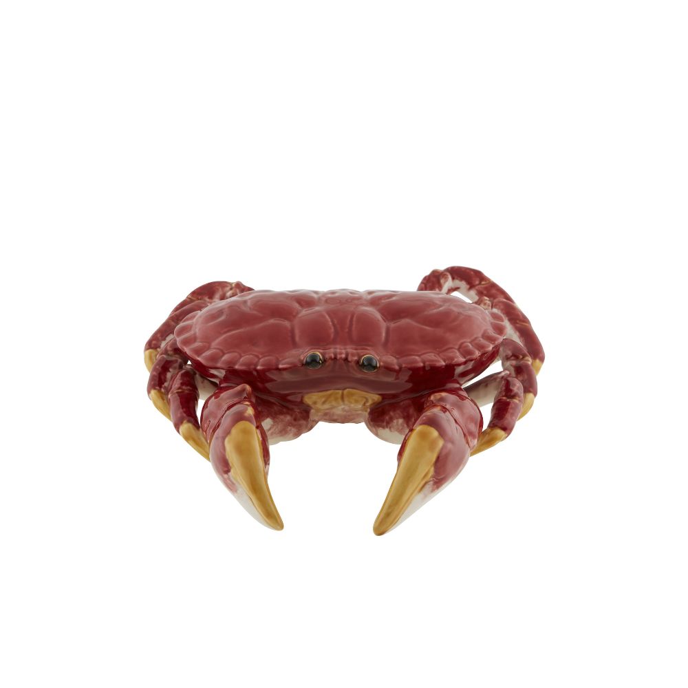 Edible Crab