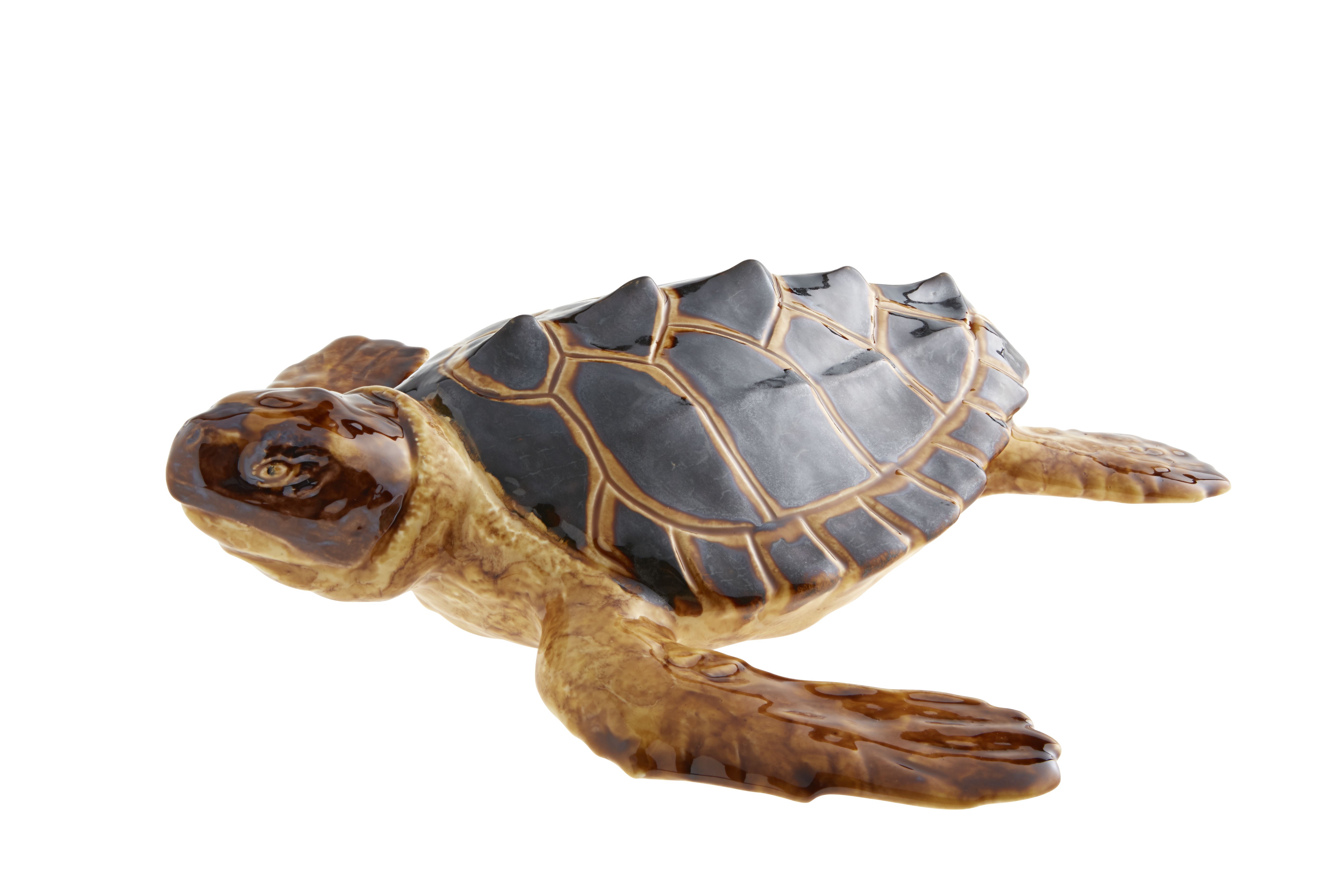 Large Turtle, , large image number null