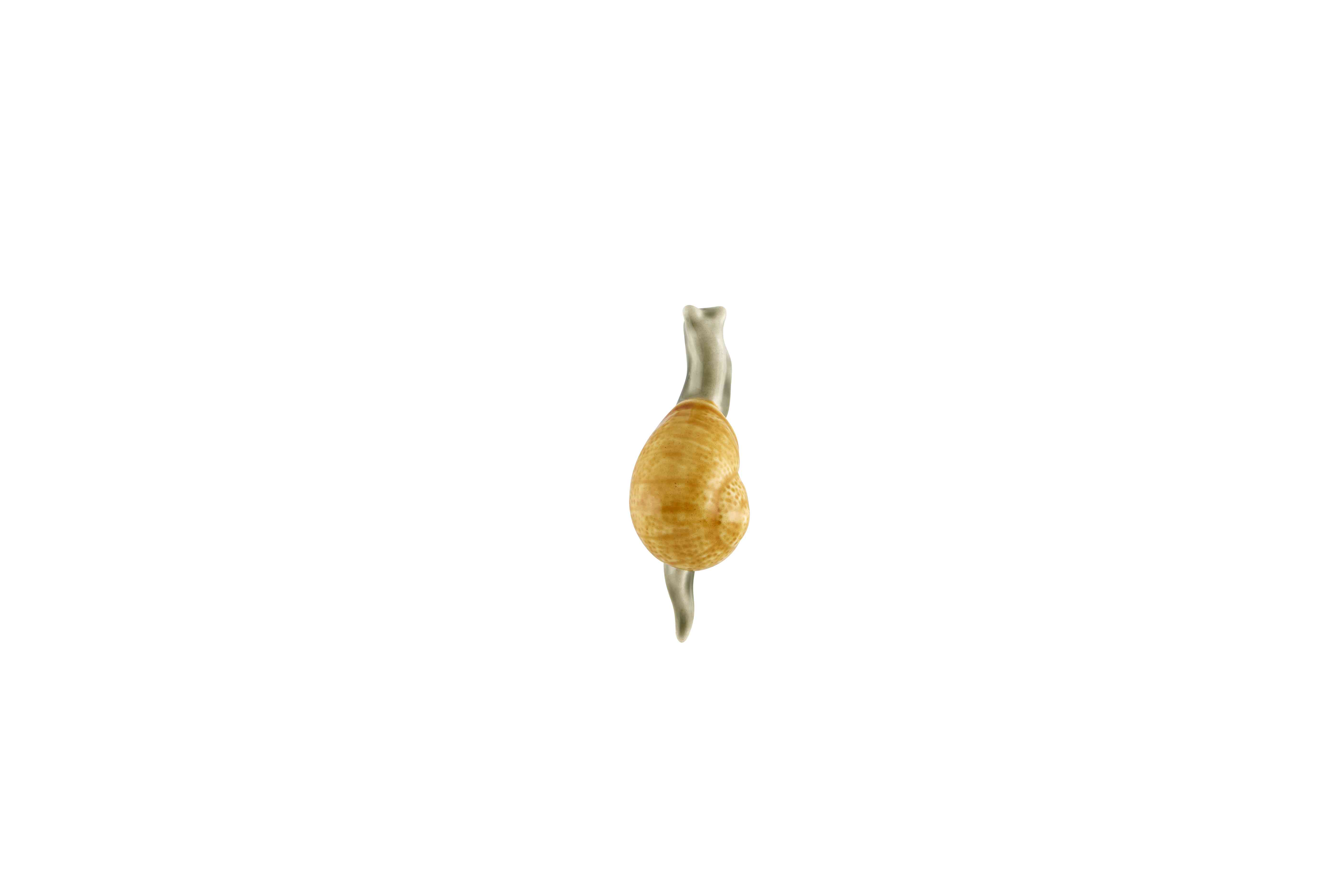 Magnet Snail, , large image number null