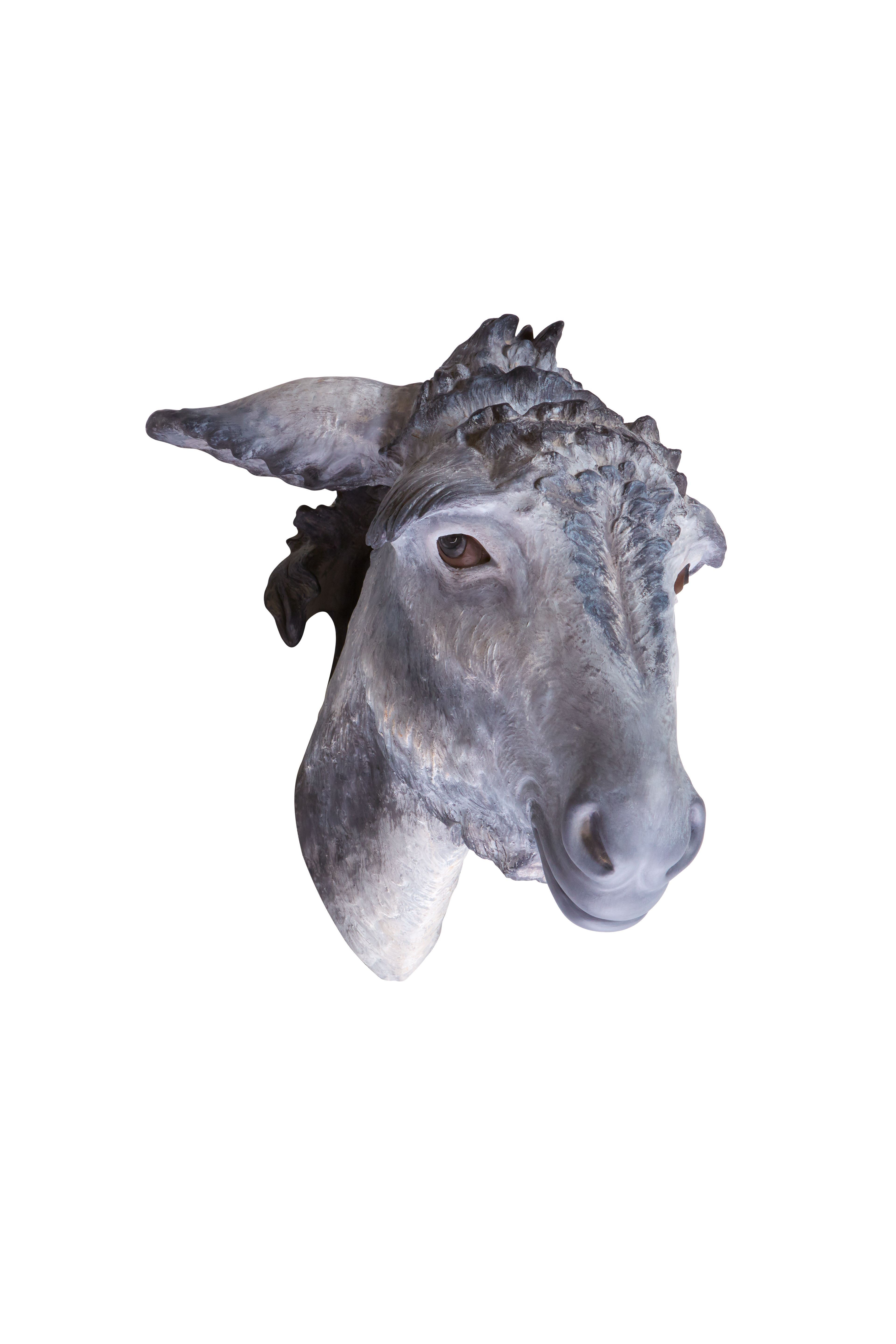 Cabe&ccedil;a Burro