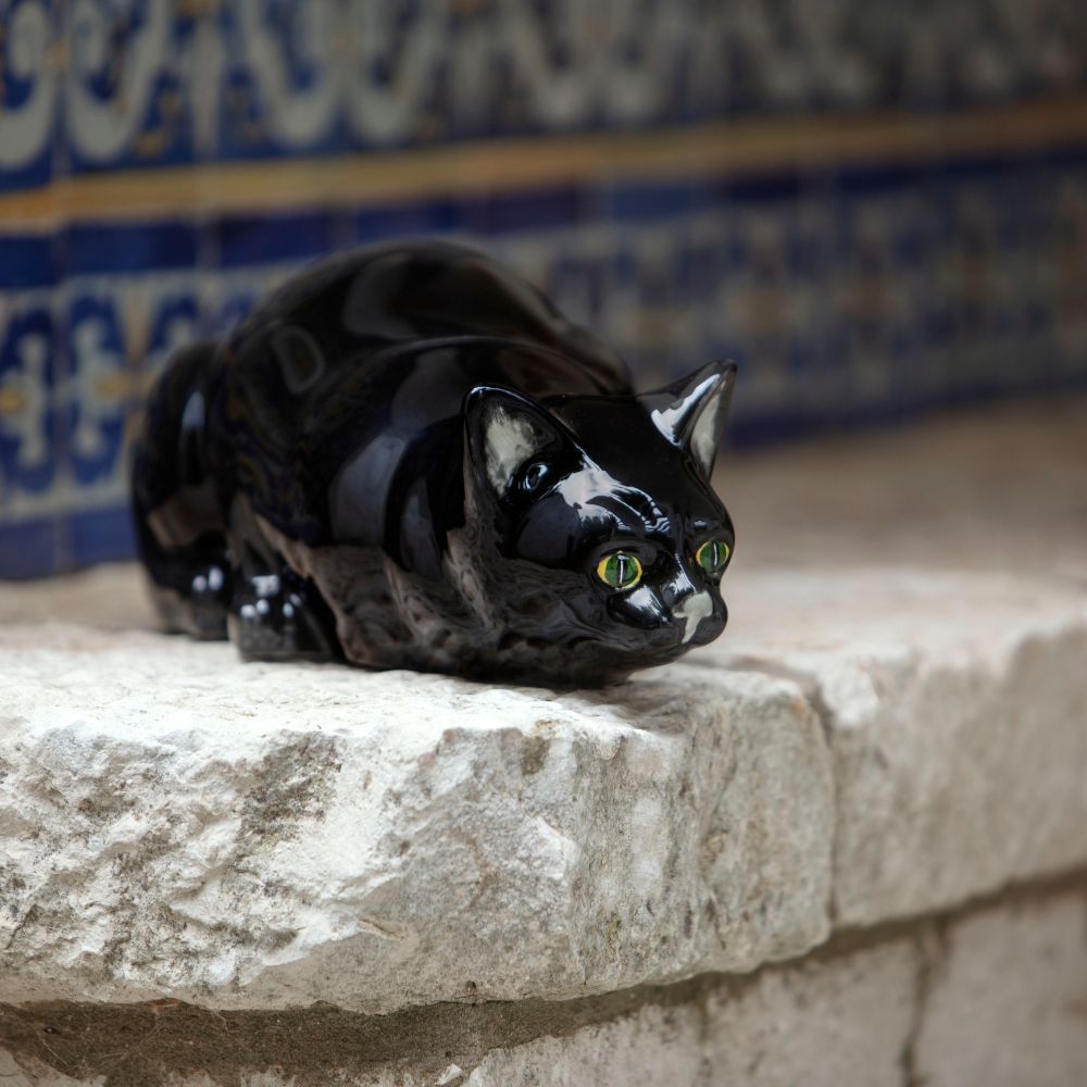 Gato a Cazar, , large image number null