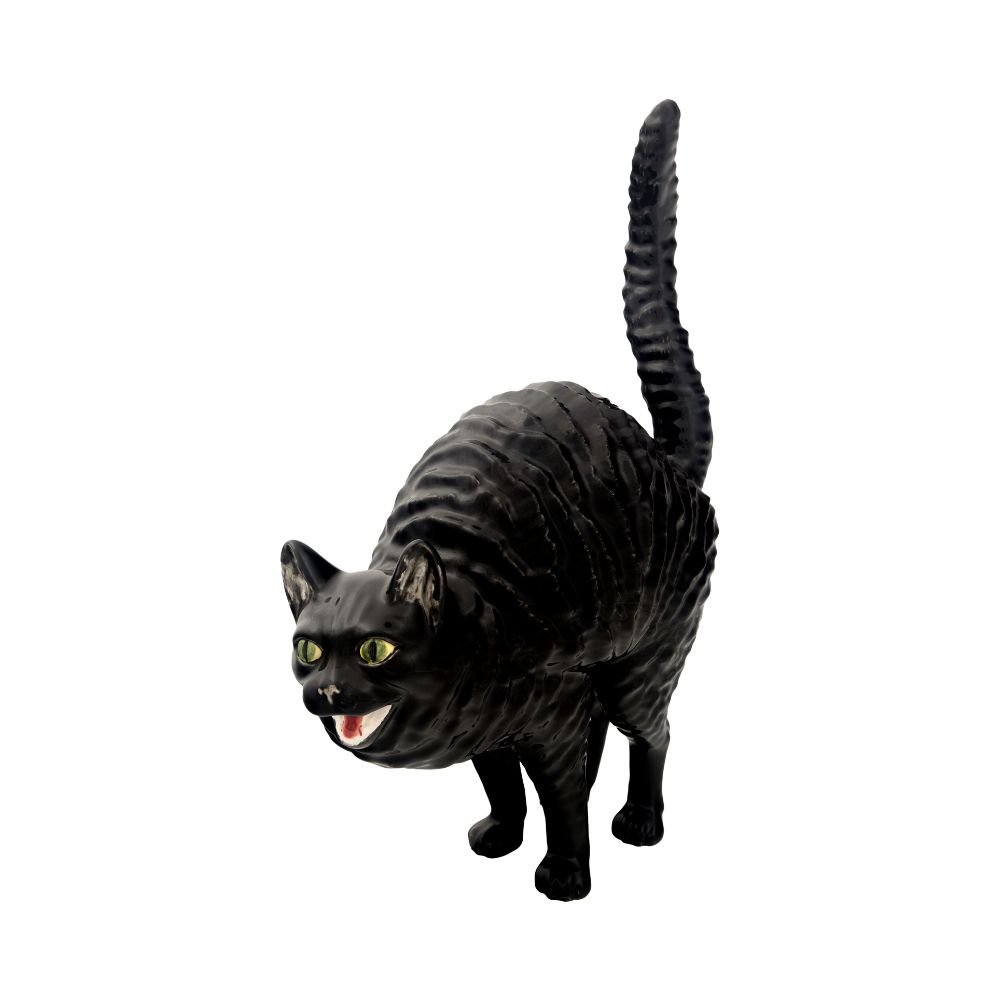Gato Assanhado