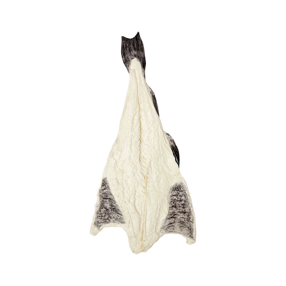 Codfish, , large image number null
