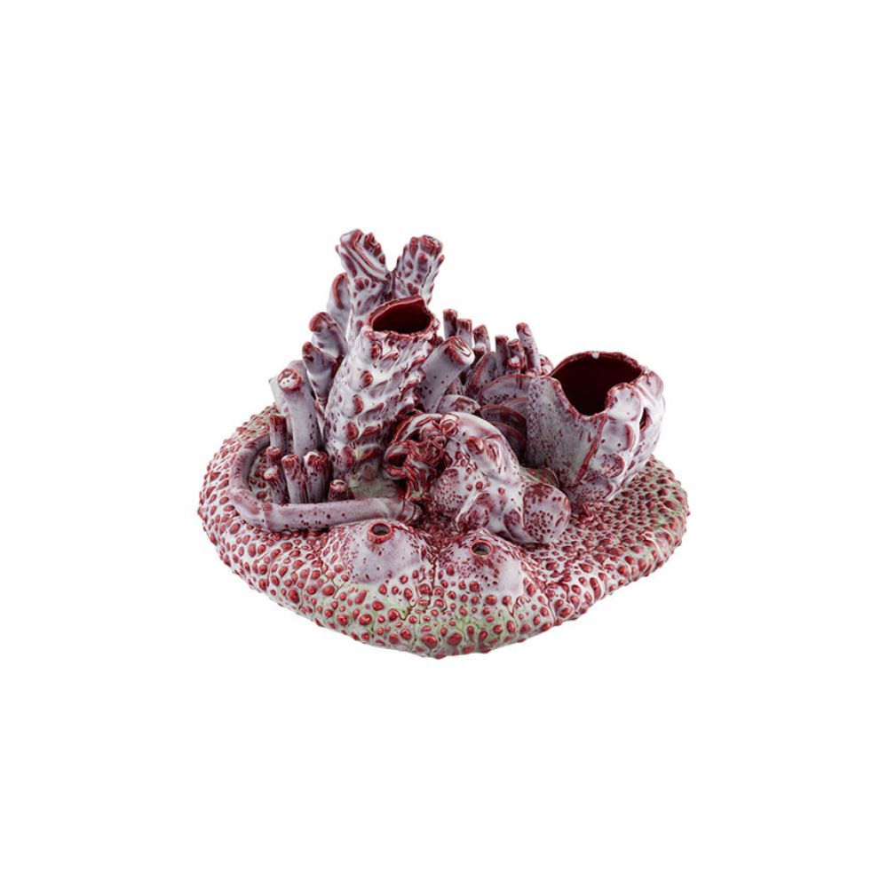 Deep Coral Reef, , large image number null