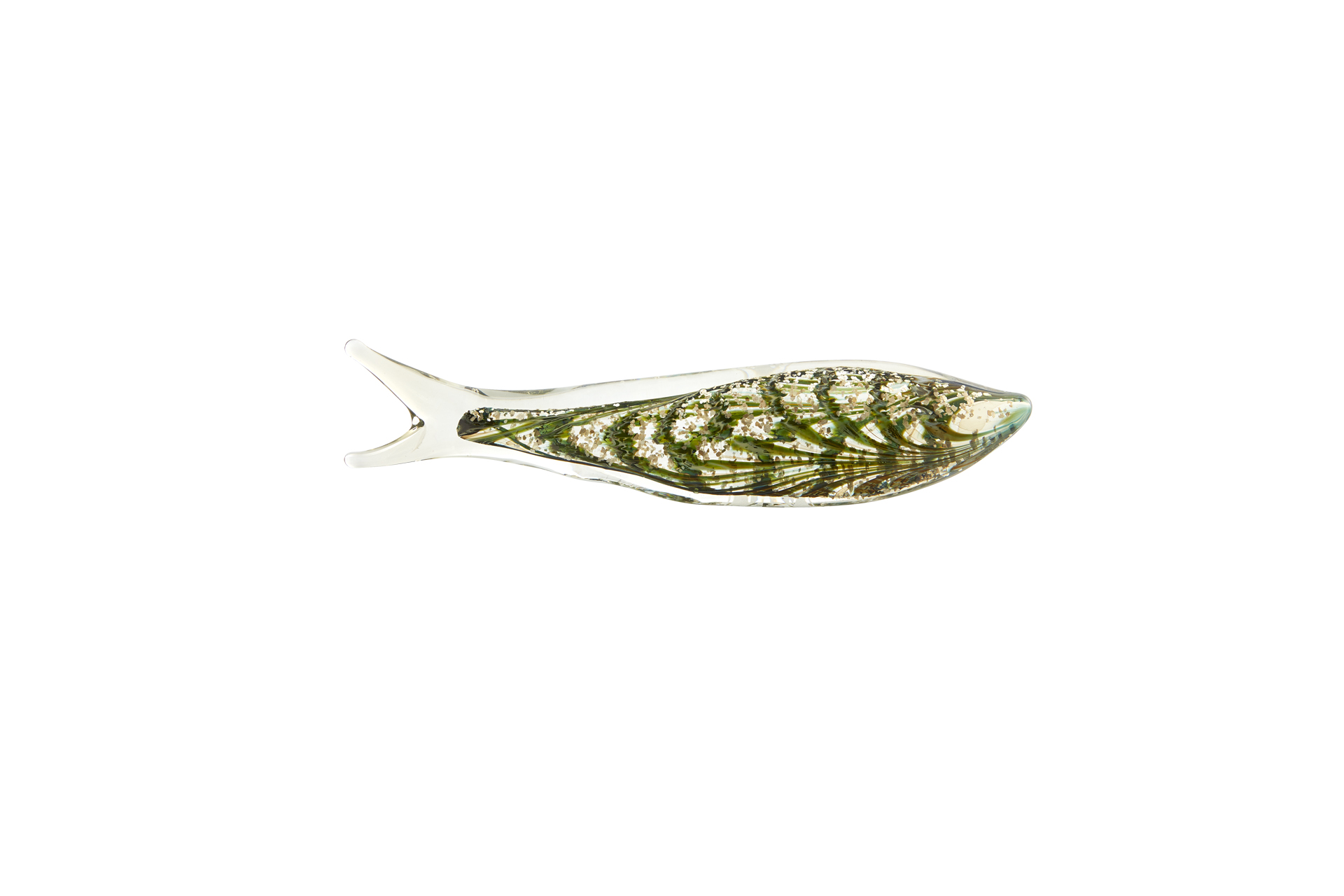 Sardine of the Day