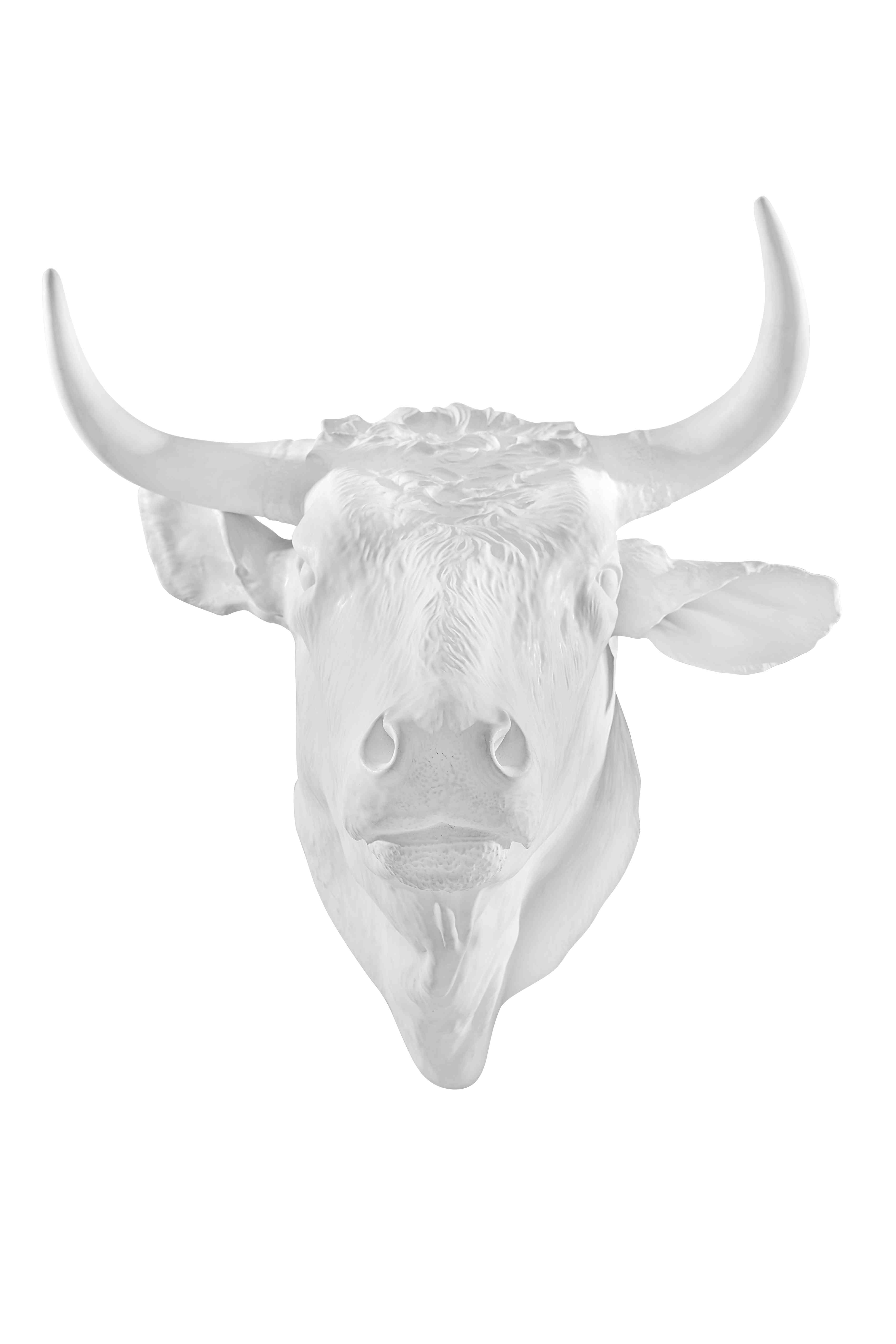 Taurus Head, , large image number null