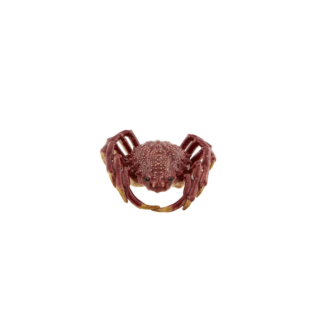 Spider Crab, , large image number null