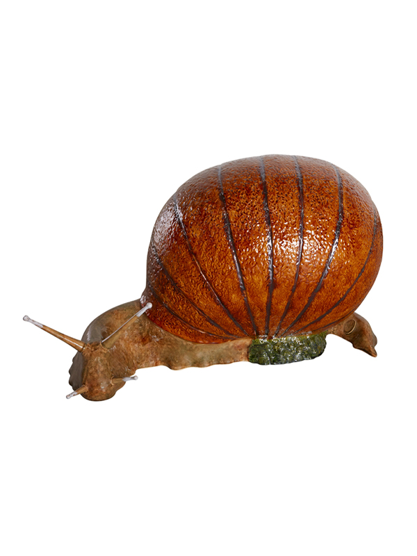 Giant Snail, , large image number null