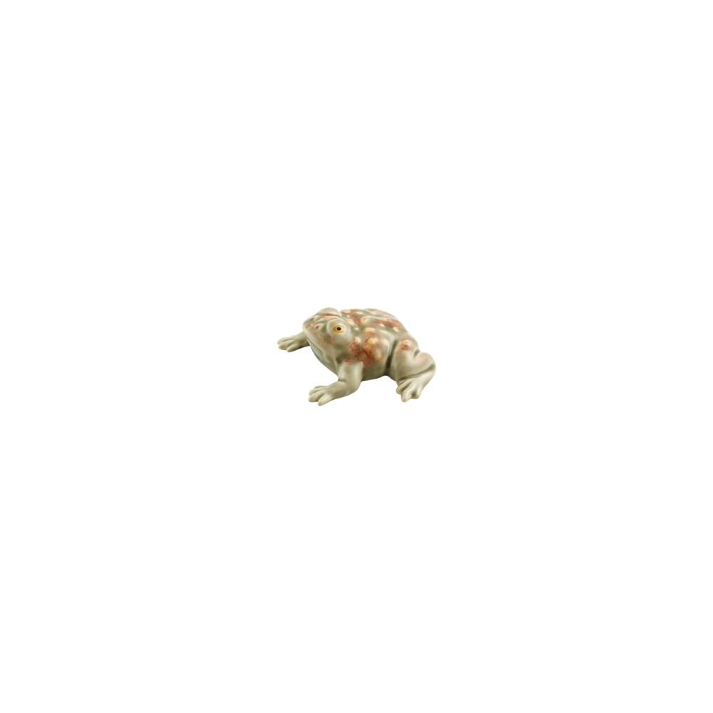 Small Toad, , large image number null