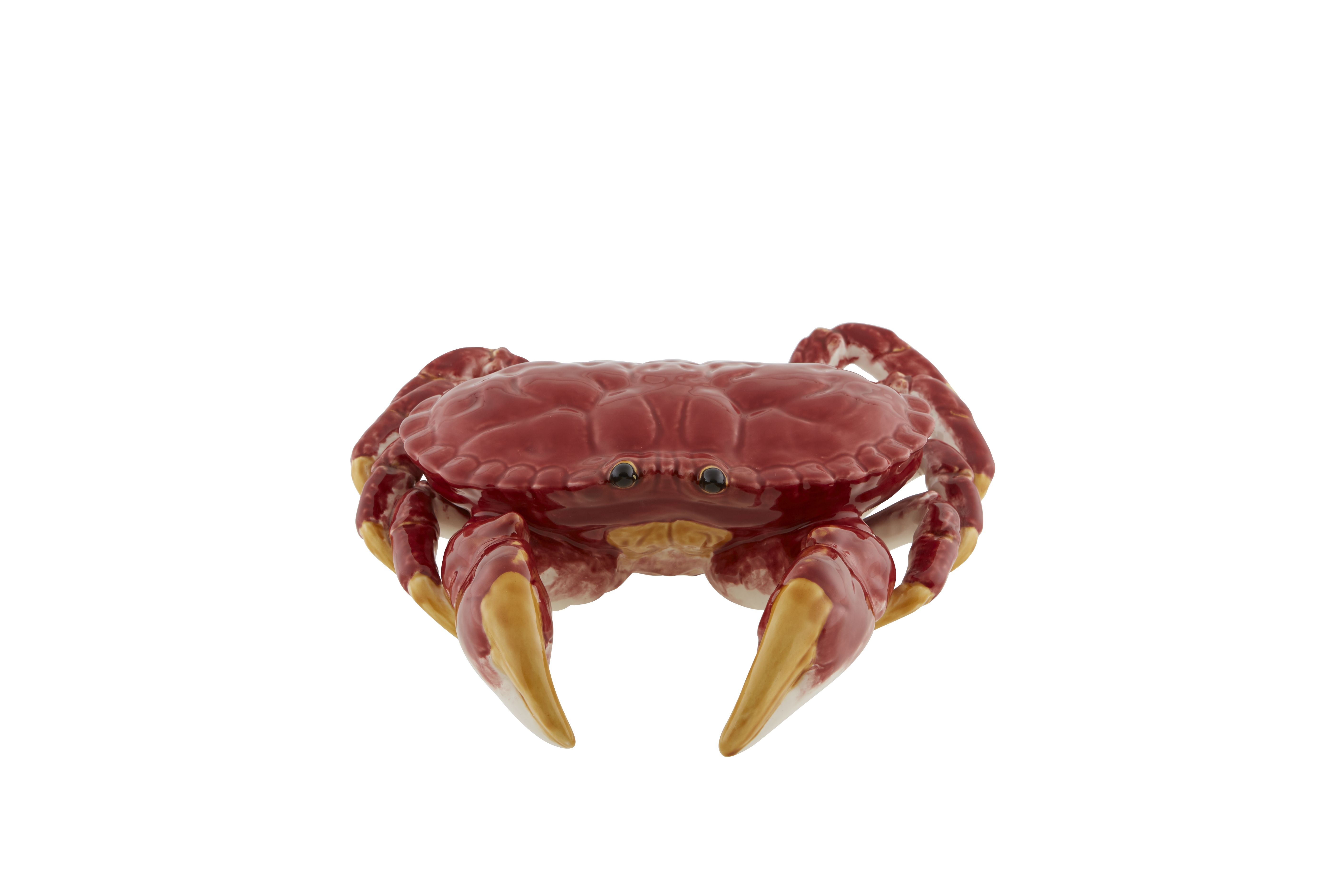 Edible Crab, , large image number null