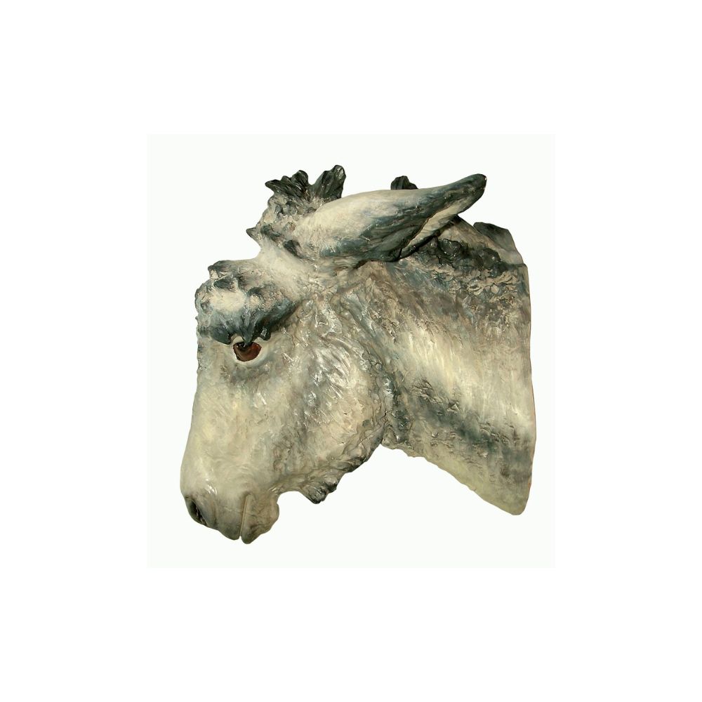 Cabe&ccedil;a Burro, , large image number null