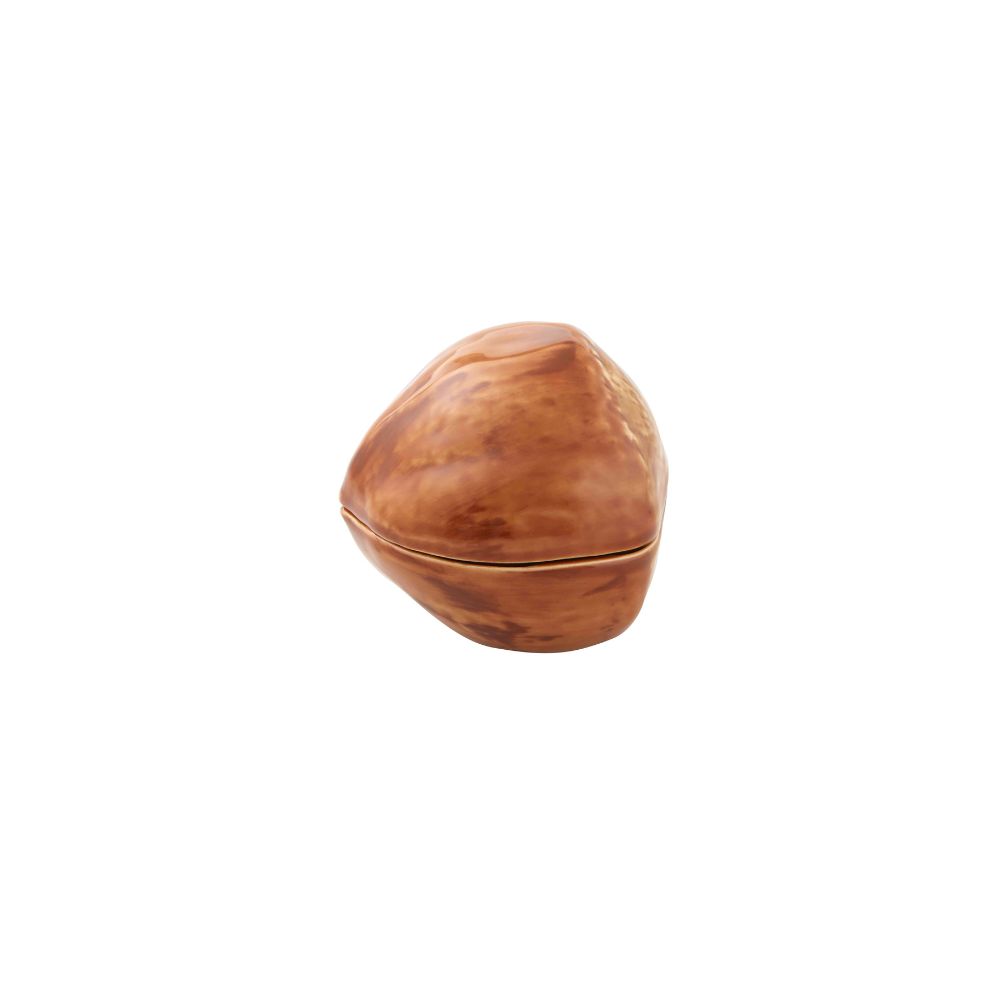 Box Hazelnut