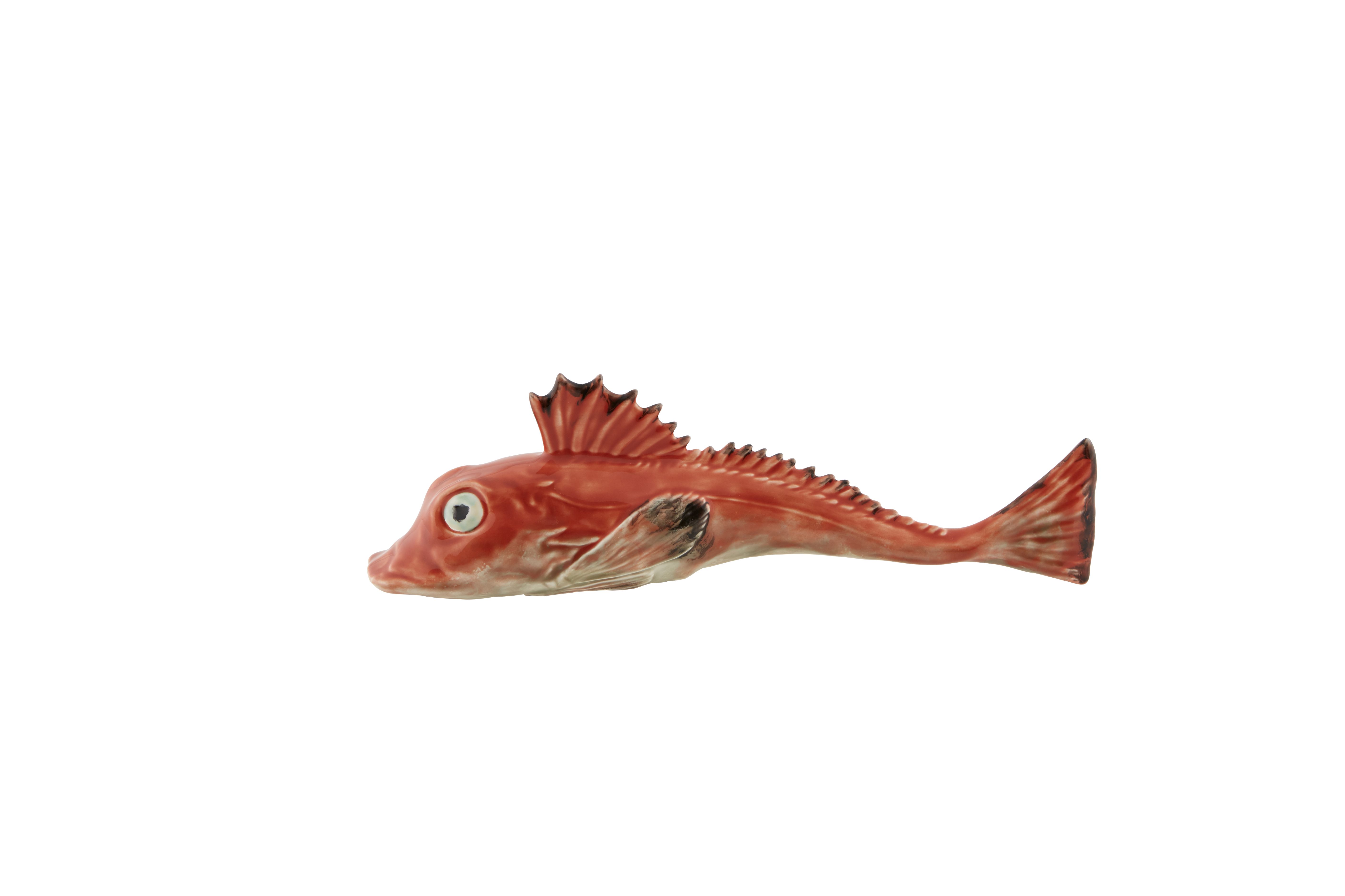 Small Tub Gurnard, , large image number null