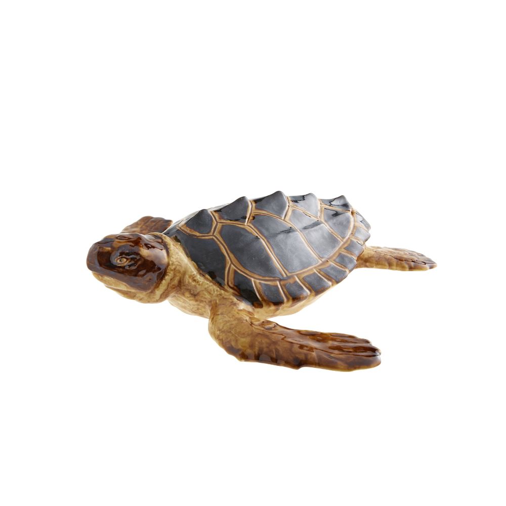 Tortuga Grande, , large image number null