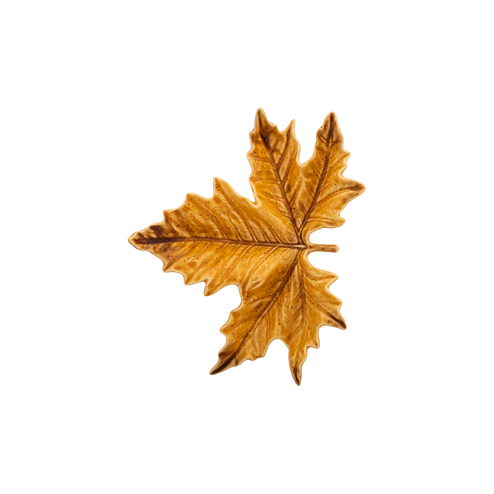Small Sycamore Leaf
