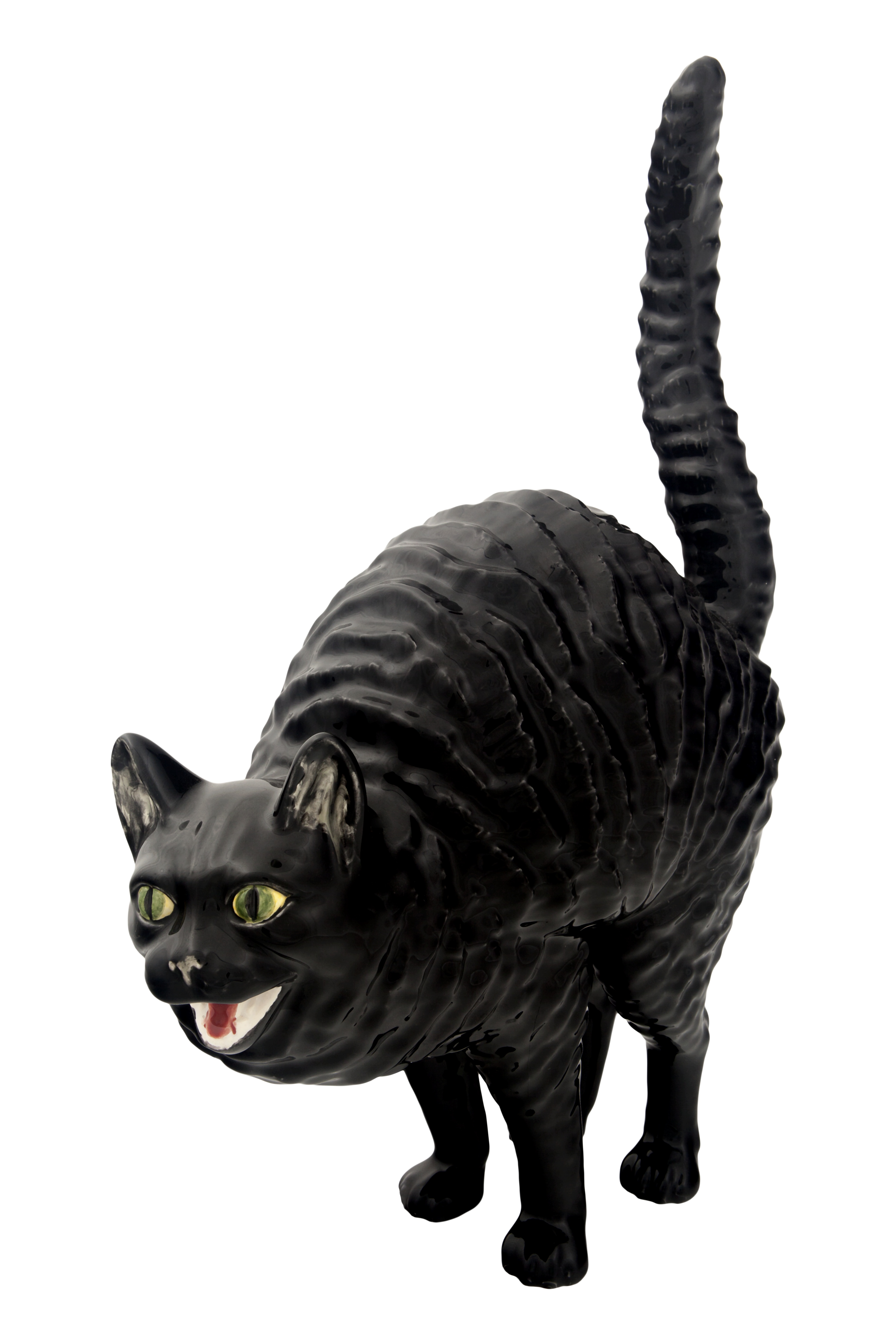 Hissing Cat, , large image number null
