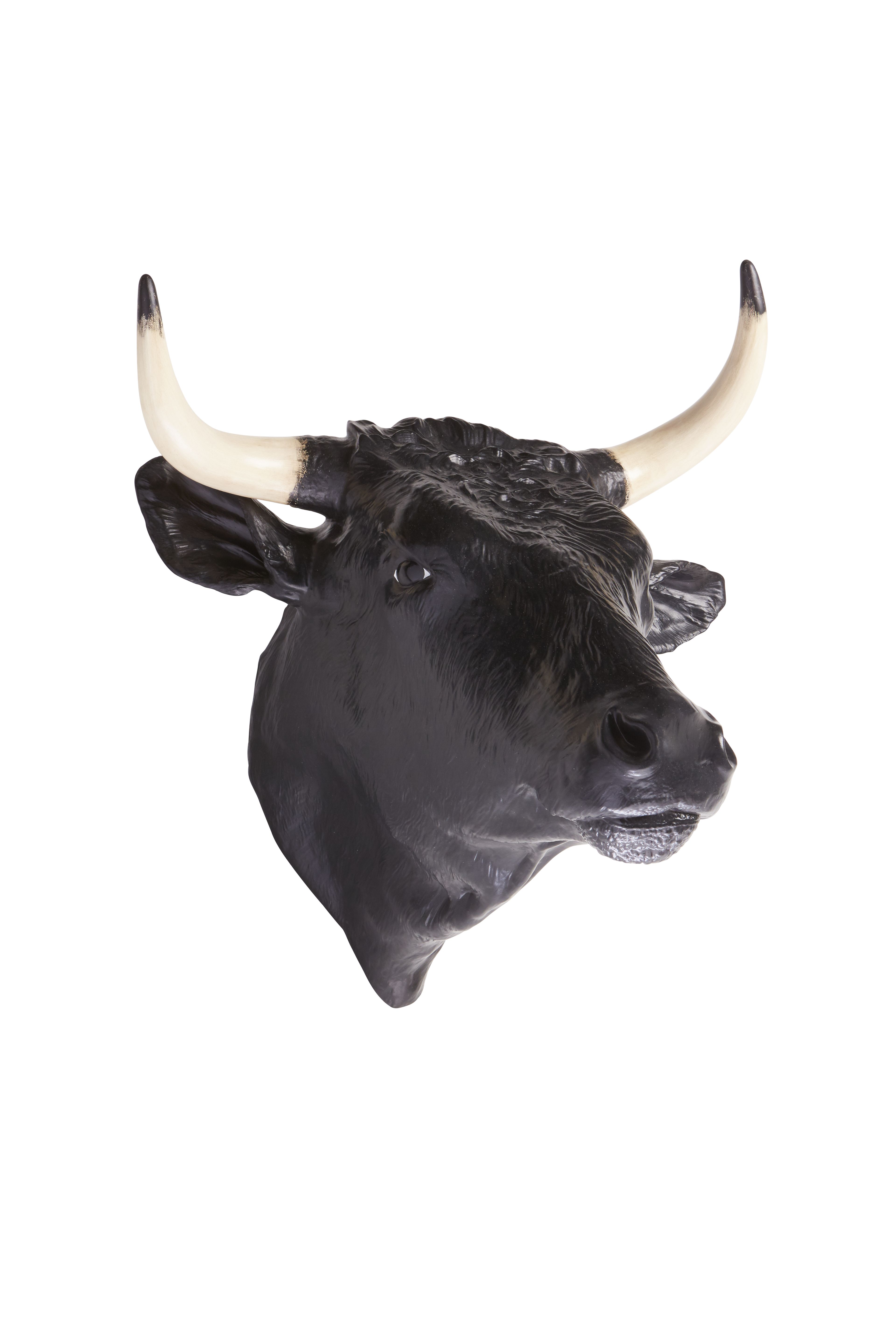 Cabe&ccedil;a Touro