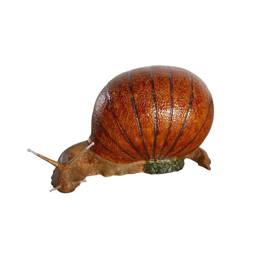Giant Snail