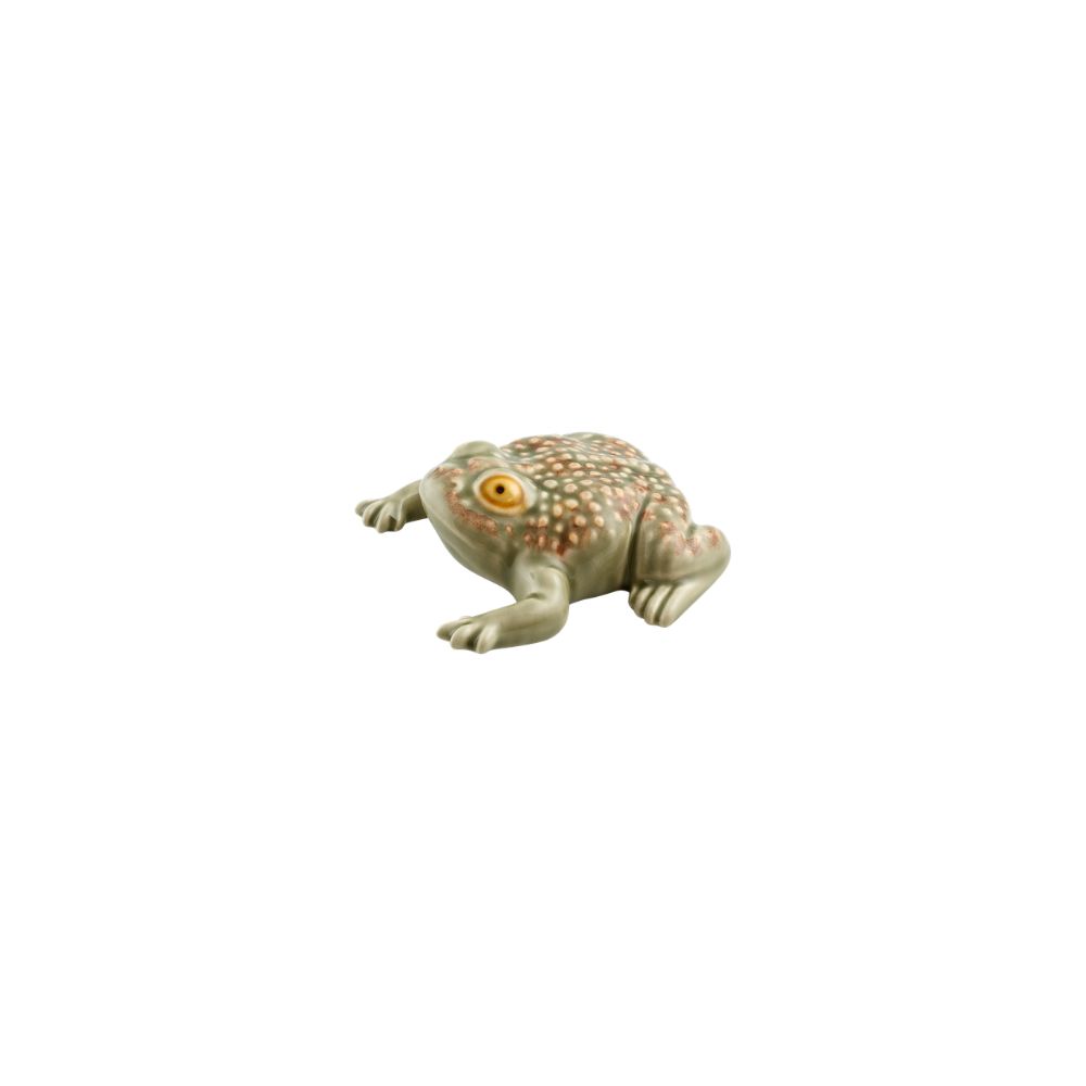 Sapo Grande, , large image number null