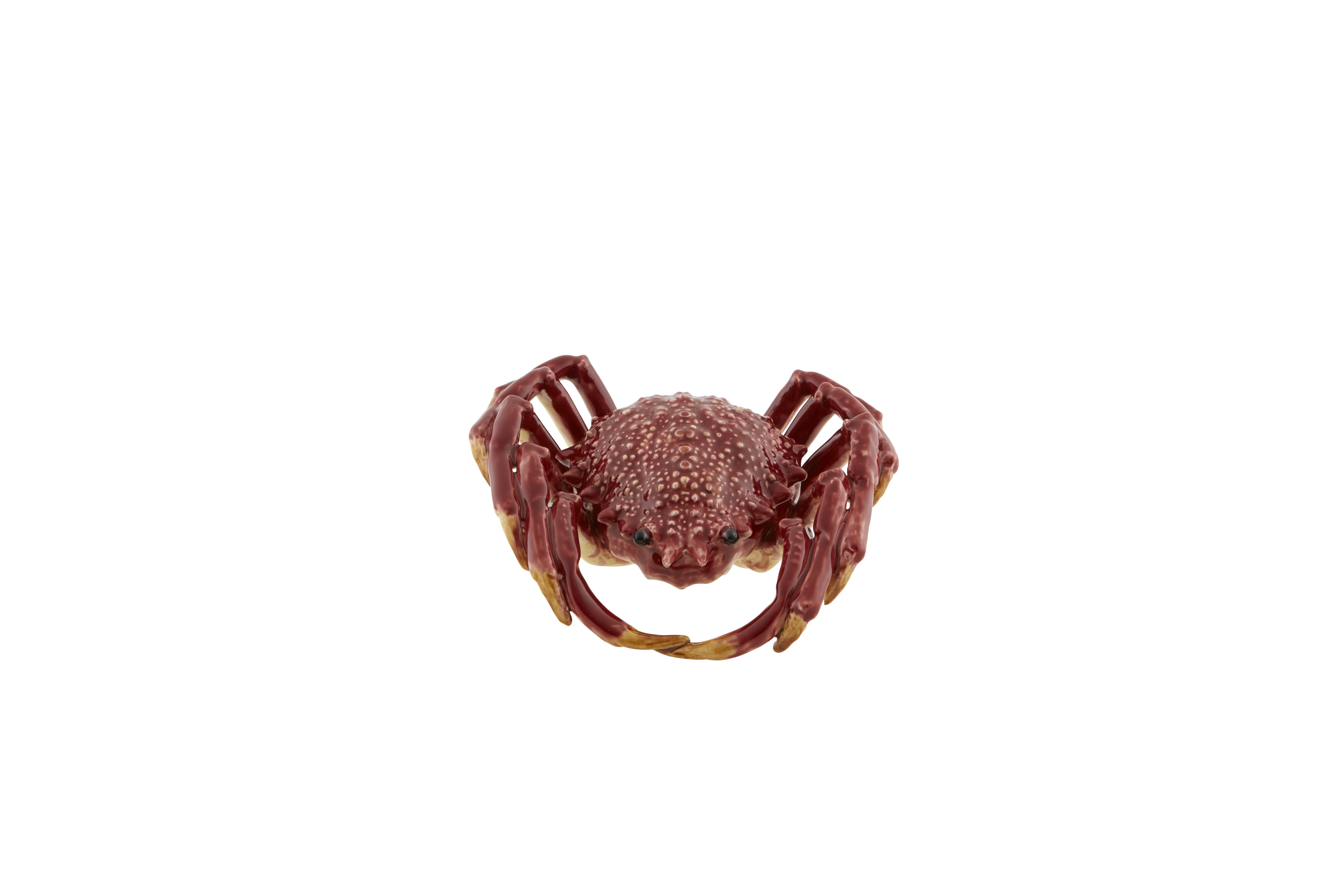 Spider Crab, , large image number null