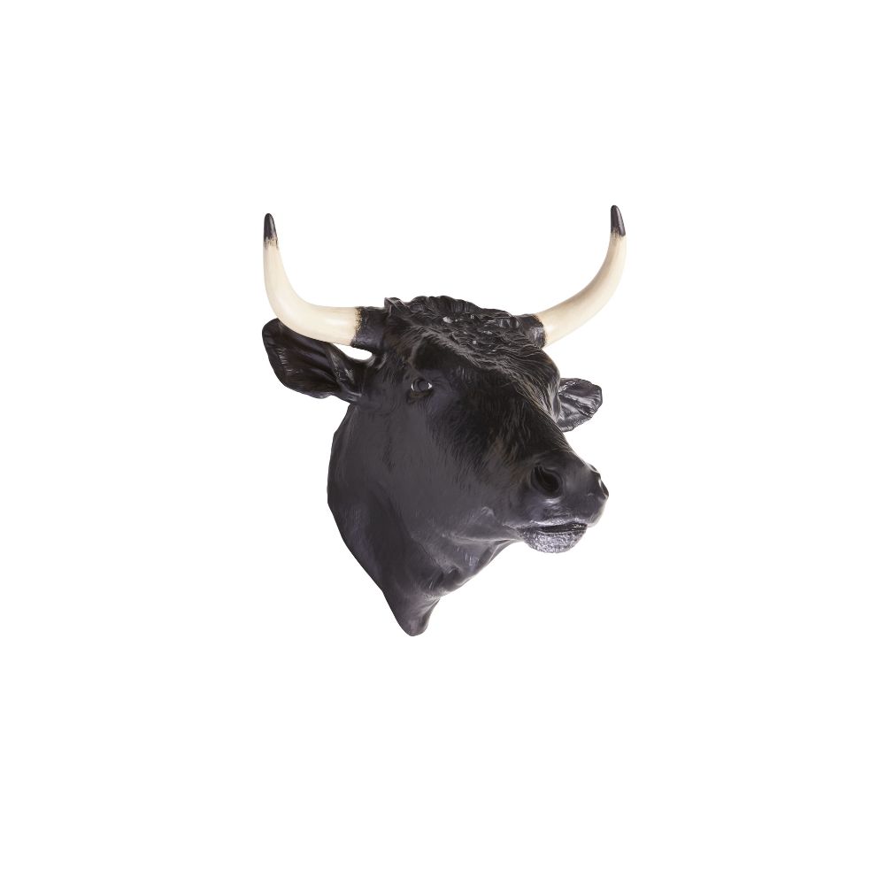 Cabeza Toro, , large image number null