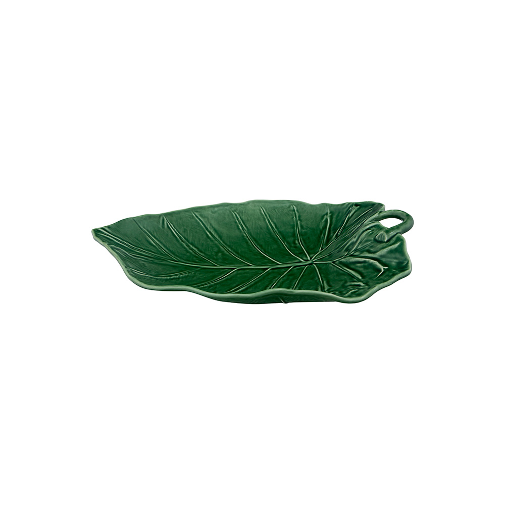 Large Leaf Sunflower