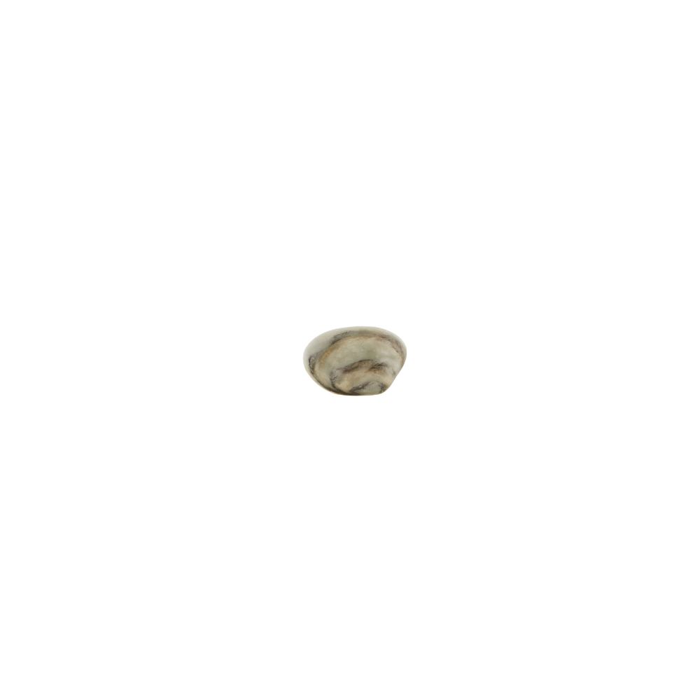 Almeja, , large image number null