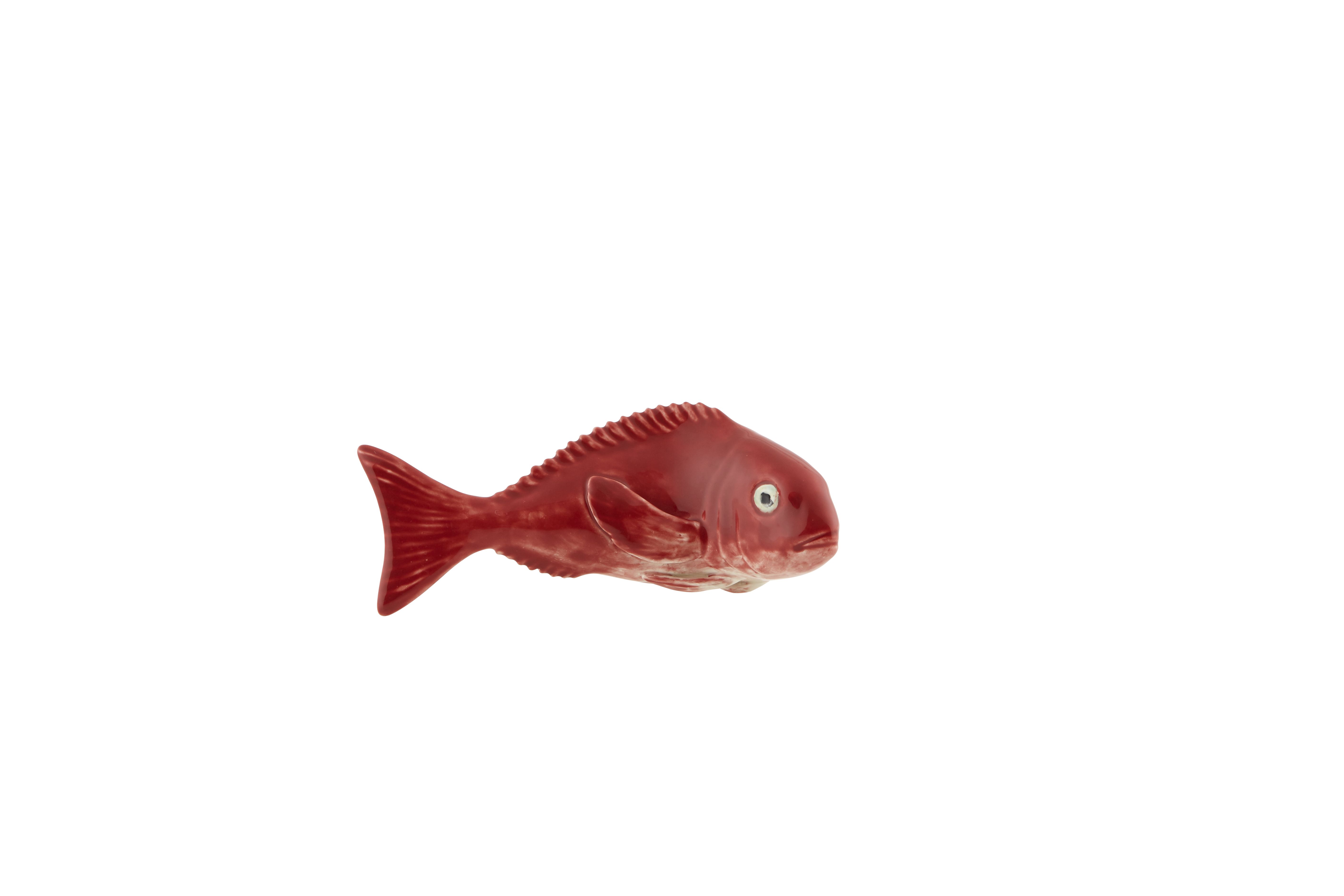 Red Porgy, , large image number null