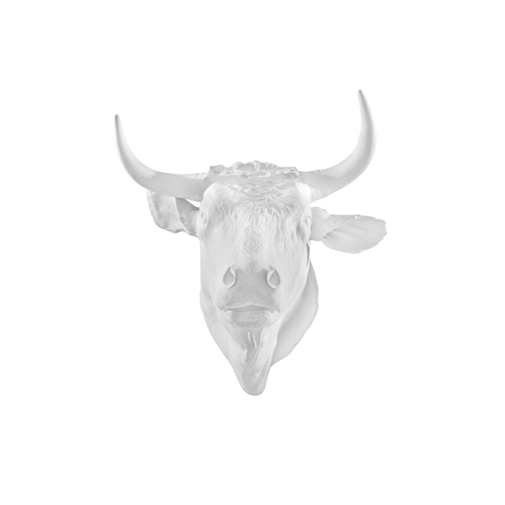 Cabeza Toro