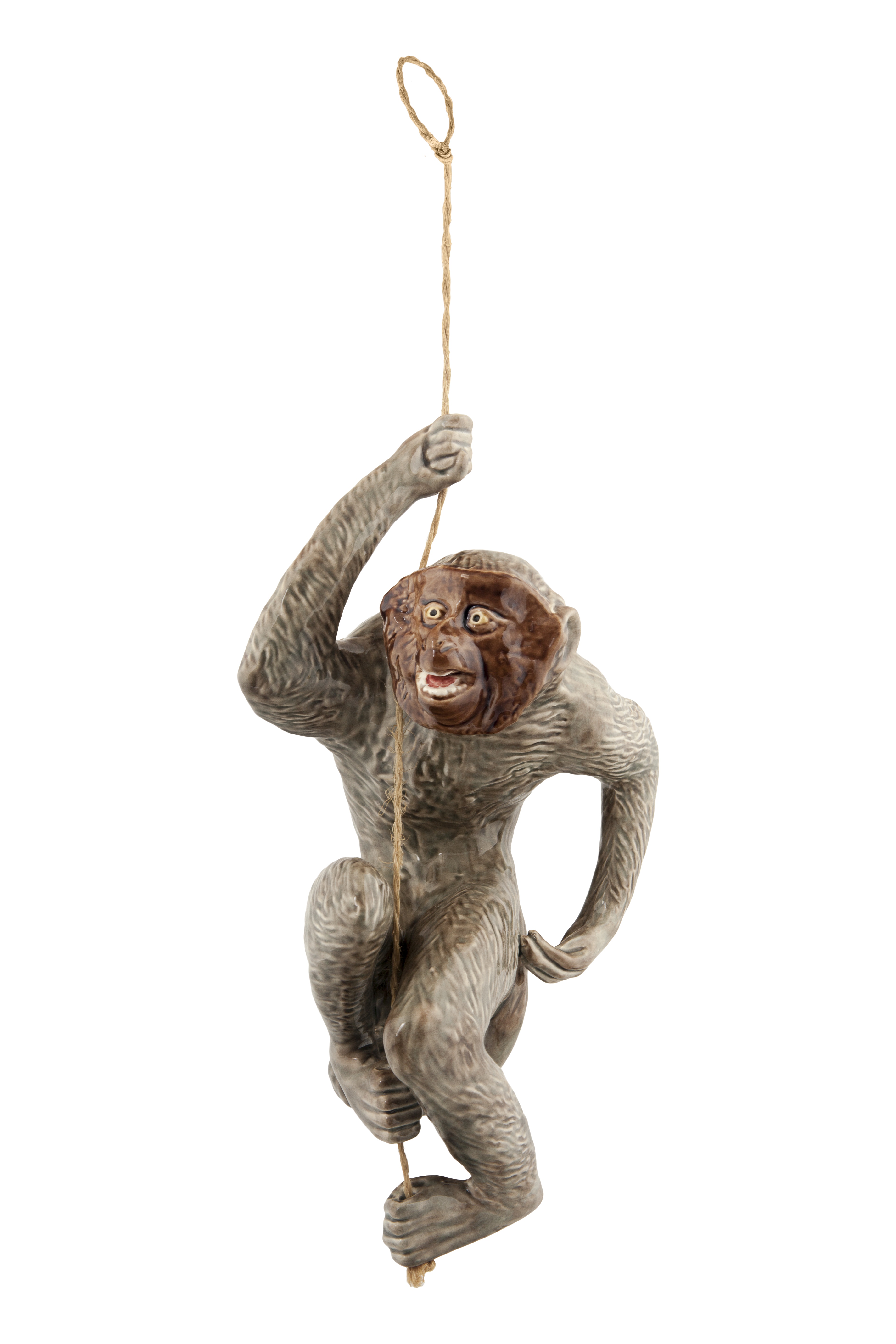 Macaco, , large image number null